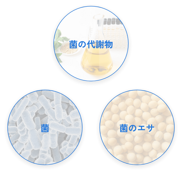 BG・21菌発酵物粉末の画像